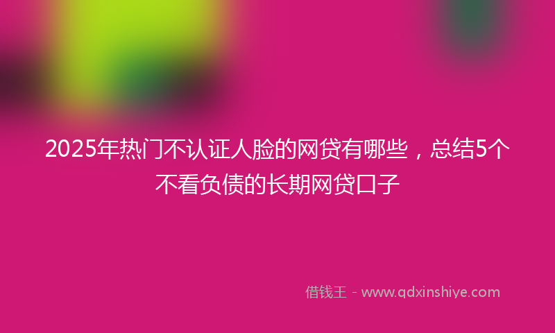 2025年热门不认证人脸的网贷有哪些，总结5个不看负债的长期网贷口子