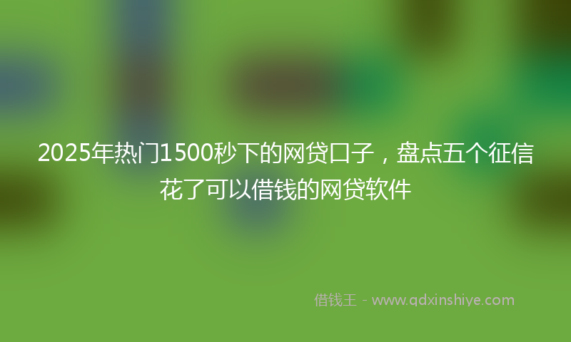 2025年热门1500秒下的网贷口子，盘点五个征信花了可以借钱的网贷软件