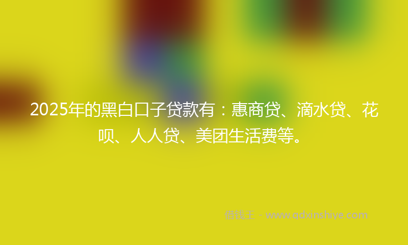 2025年的黑白口子贷款有：惠商贷、滴水贷、花呗、人人贷、美团生活费等。