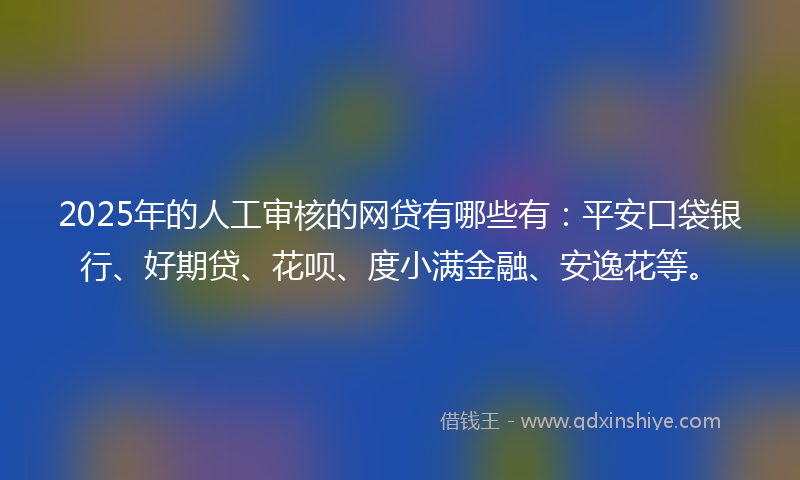 2025年的人工审核的网贷有哪些有：平安口袋银行、好期贷、花呗、度小满金融、安逸花等。