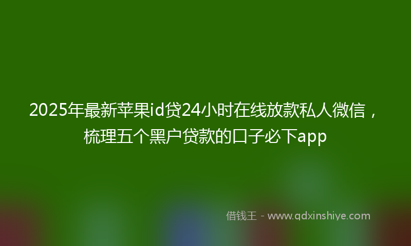 2025年最新苹果id贷24小时在线放款私人微信，梳理五个黑户贷款的口子必下app
