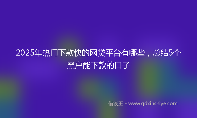 2025年热门下款快的网贷平台有哪些，总结5个黑户能下款的口子