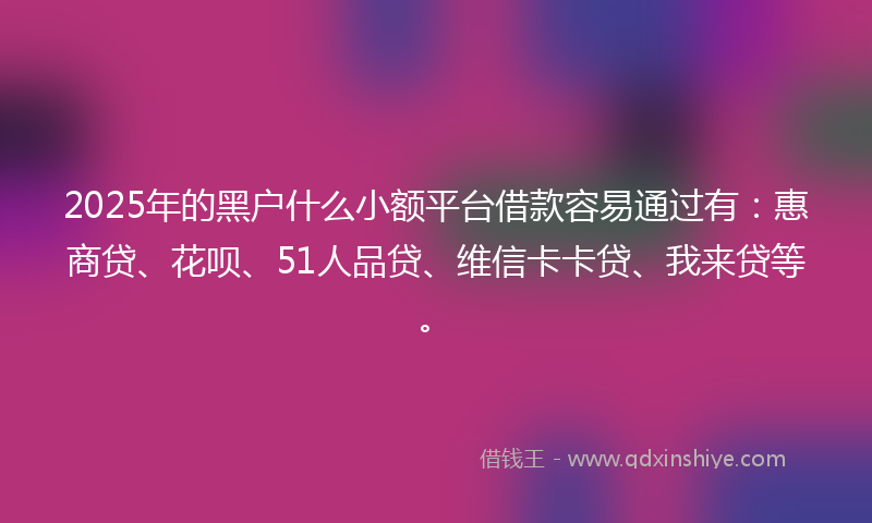 2025年的黑户什么小额平台借款容易通过有：惠商贷、花呗、51人品贷、维信卡卡贷、我来贷等。