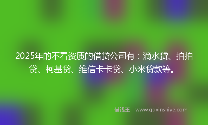 2025年的不看资质的借贷公司有：滴水贷、拍拍贷、柯基贷、维信卡卡贷、小米贷款等。