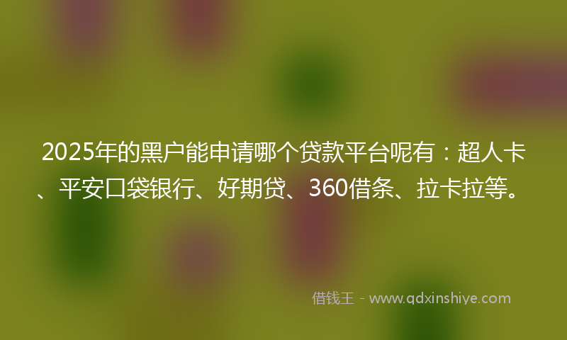 2025年的黑户能申请哪个贷款平台呢有：超人卡、平安口袋银行、好期贷、360借条、拉卡拉等。