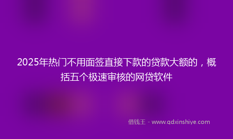2025年热门不用面签直接下款的贷款大额的，概括五个极速审核的网贷软件