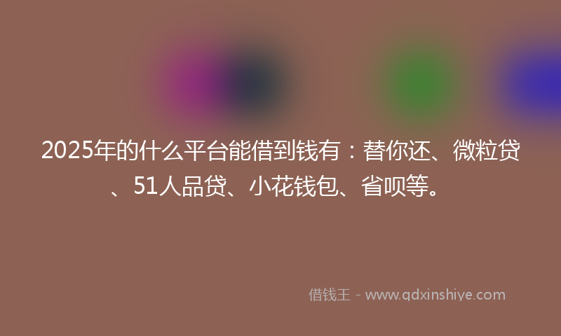 2025年的什么平台能借到钱有：替你还、微粒贷、51人品贷、小花钱包、省呗等。