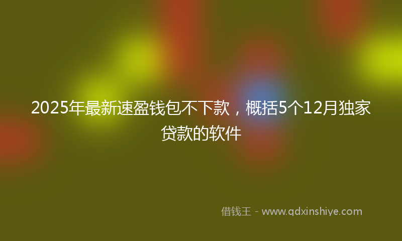 2025年最新速盈钱包不下款，概括5个12月独家贷款的软件