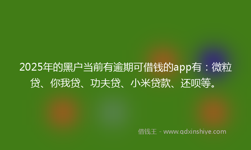 2025年的黑户当前有逾期可借钱的app有：微粒贷、你我贷、功夫贷、小米贷款、还呗等。