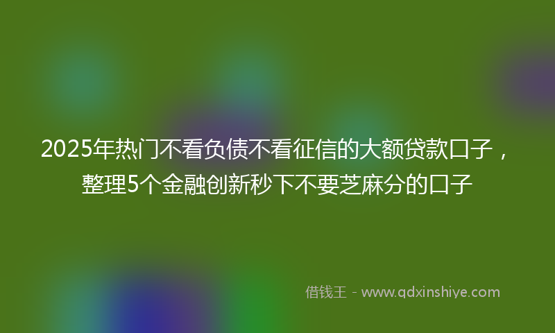 2025年热门不看负债不看征信的大额贷款口子，整理5个金融创新秒下不要芝麻分的口子