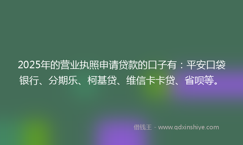 2025年的营业执照申请贷款的口子有：平安口袋银行、分期乐、柯基贷、维信卡卡贷、省呗等。