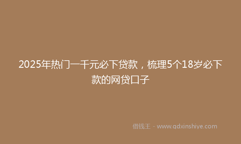2025年热门一千元必下贷款，梳理5个18岁必下款的网贷口子