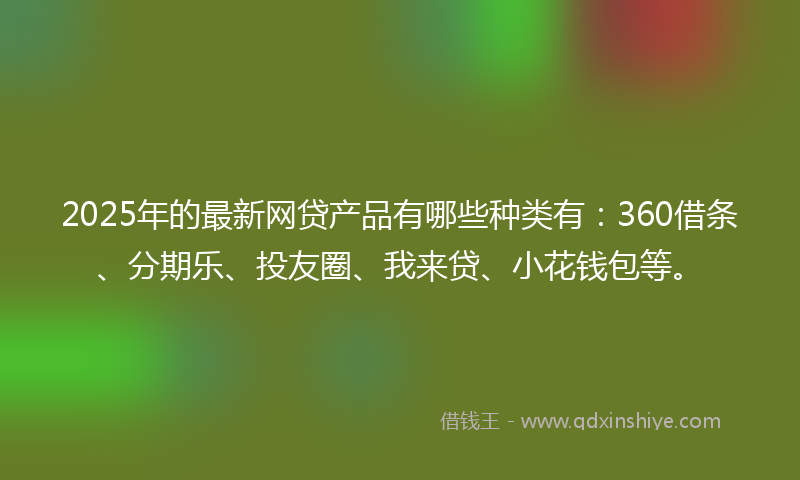 2025年的最新网贷产品有哪些种类有：360借条、分期乐、投友圈、我来贷、小花钱包等。