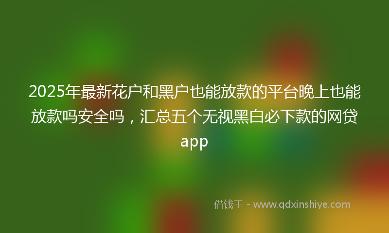 2025年最新花户和黑户也能放款的平台晚上也能放款吗安全吗，汇总五个无视黑白必下款的网贷app