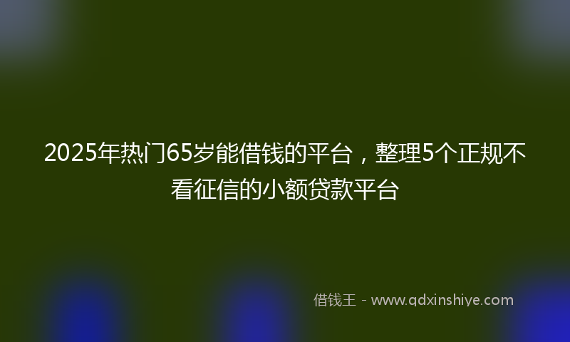 2025年热门65岁能借钱的平台，整理5个正规不看征信的小额贷款平台