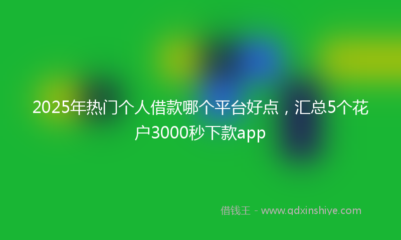 2025年热门个人借款哪个平台好点，汇总5个花户3000秒下款app