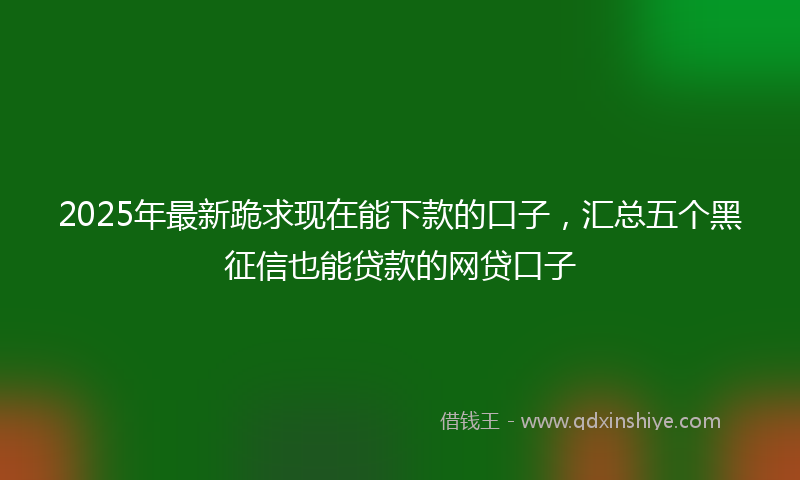 2025年最新跪求现在能下款的口子，汇总五个黑征信也能贷款的网贷口子
