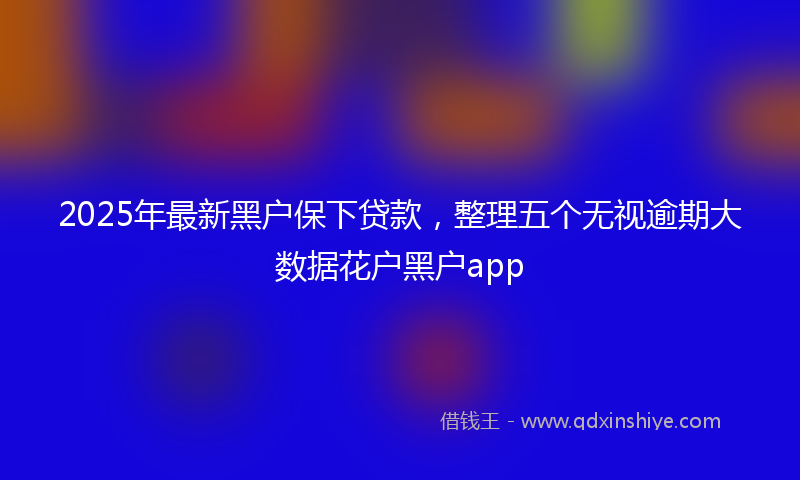 2025年最新黑户保下贷款，整理五个无视逾期大数据花户黑户app