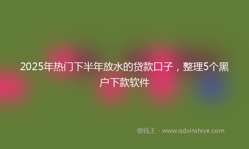 2025年热门下半年放水的贷款口子，整理5个黑户下款软件
