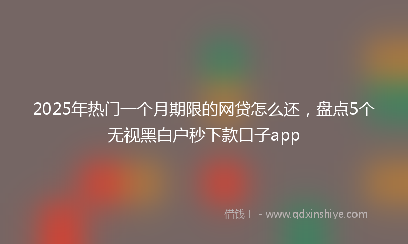 2025年热门一个月期限的网贷怎么还，盘点5个无视黑白户秒下款口子app