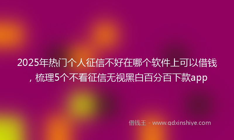 2025年热门个人征信不好在哪个软件上可以借钱，梳理5个不看征信无视黑白百分百下款app