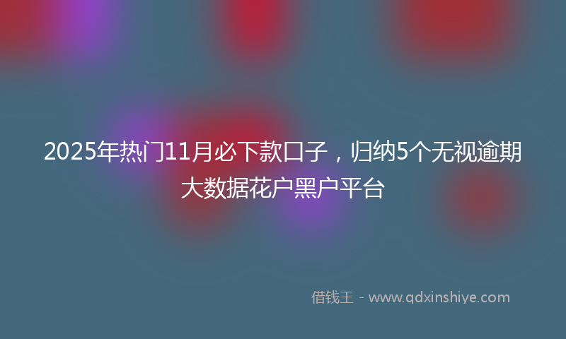2025年热门11月必下款口子，归纳5个无视逾期大数据花户黑户平台