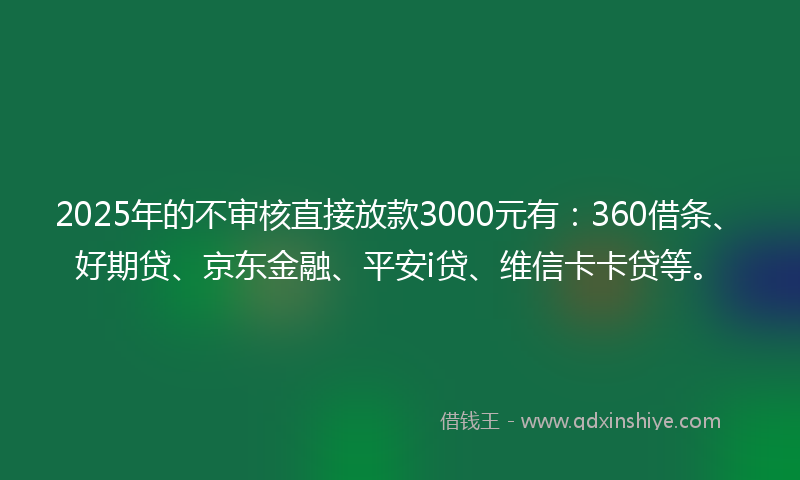 2025年的不审核直接放款3000元有：360借条、好期贷、京东金融、平安i贷、维信卡卡贷等。