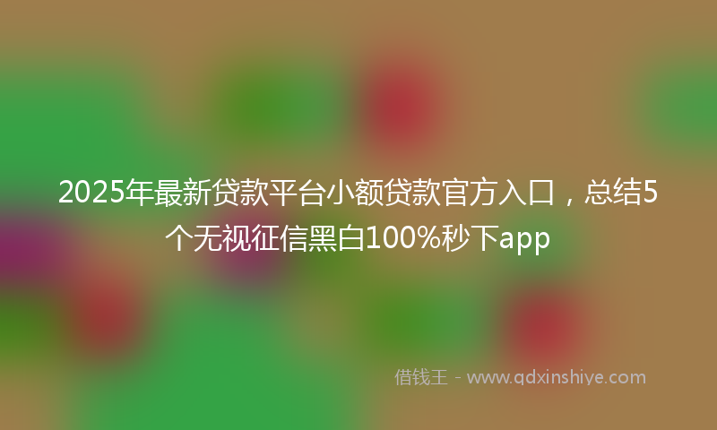 2025年最新贷款平台小额贷款官方入口，总结5个无视征信黑白100%秒下app
