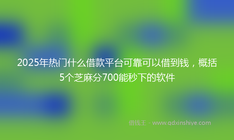 2025年热门什么借款平台可靠可以借到钱，概括5个芝麻分700能秒下的软件