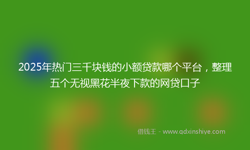 2025年热门三千块钱的小额贷款哪个平台，整理五个无视黑花半夜下款的网贷口子