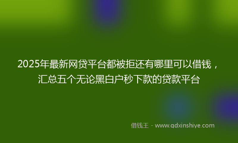 2025年最新网贷平台都被拒还有哪里可以借钱，汇总五个无论黑白户秒下款的贷款平台