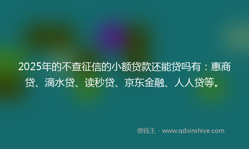 2025年的不查征信的小额贷款还能贷吗有：惠商贷、滴水贷、读秒贷、京东金融、人人贷等。