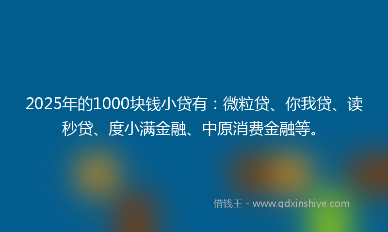 2025年的1000块钱小贷有：微粒贷、你我贷、读秒贷、度小满金融、中原消费金融等。