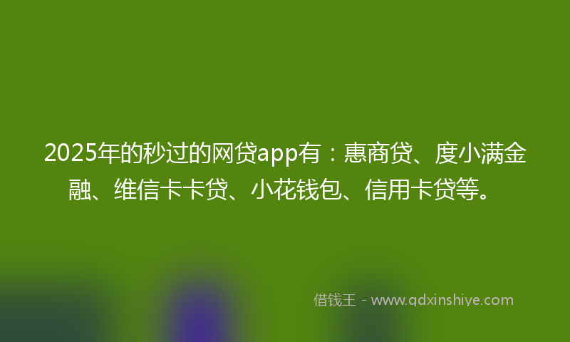 2025年的秒过的网贷app有：惠商贷、度小满金融、维信卡卡贷、小花钱包、信用卡贷等。