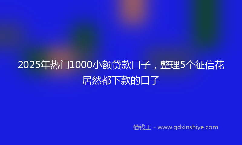 2025年热门1000小额贷款口子，整理5个征信花居然都下款的口子