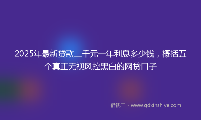 2025年最新贷款二千元一年利息多少钱，概括五个真正无视风控黑白的网贷口子