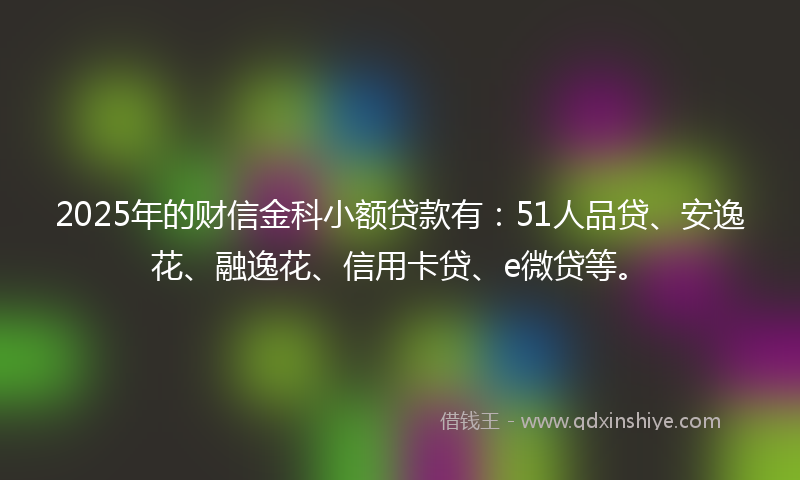 2025年的财信金科小额贷款有：51人品贷、安逸花、融逸花、信用卡贷、e微贷等。