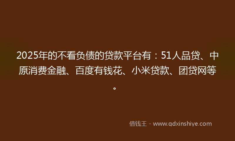 2025年的不看负债的贷款平台有：51人品贷、中原消费金融、百度有钱花、小米贷款、团贷网等。