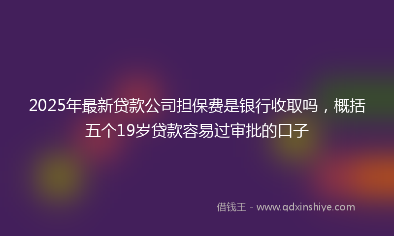 2025年最新贷款公司担保费是银行收取吗，概括五个19岁贷款容易过审批的口子