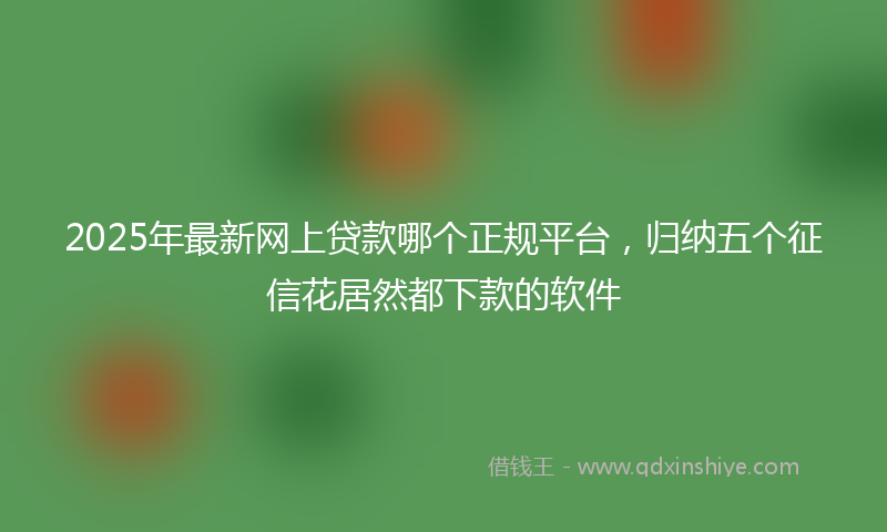 2025年最新网上贷款哪个正规平台，归纳五个征信花居然都下款的软件