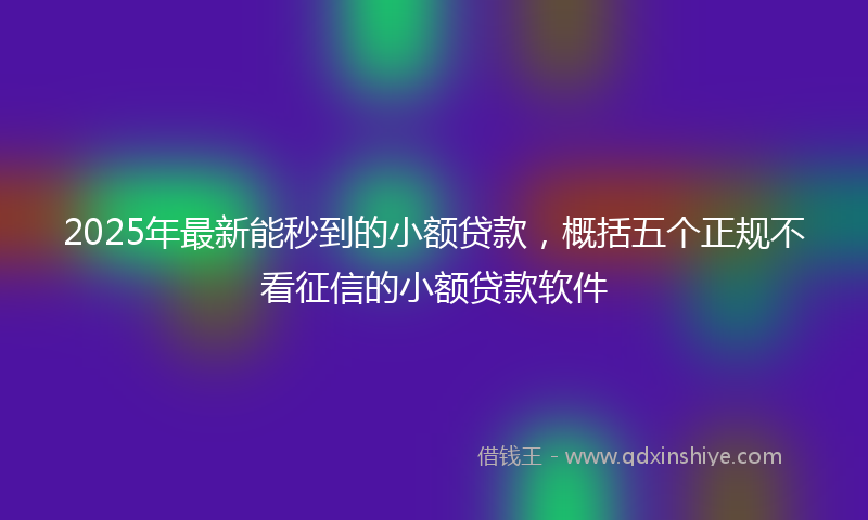 2025年最新能秒到的小额贷款，概括五个正规不看征信的小额贷款软件