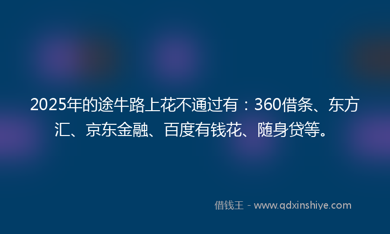 2025年的途牛路上花不通过有:360借条、东方汇、京东金融、百度有钱花、随身贷等。