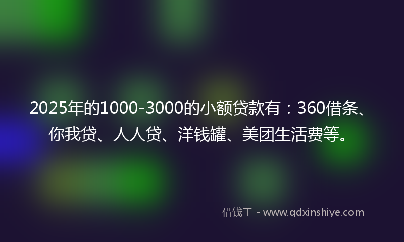 2025年的1000-3000的小额贷款有：360借条、你我贷、人人贷、洋钱罐、美团生活费等。