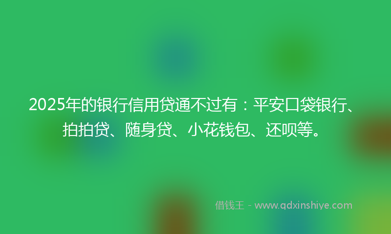 2025年的银行信用贷通不过有：平安口袋银行、拍拍贷、随身贷、小花钱包、还呗等。