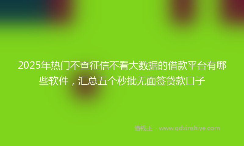2025年热门不查征信不看大数据的借款平台有哪些软件，汇总五个秒批无面签贷款口子