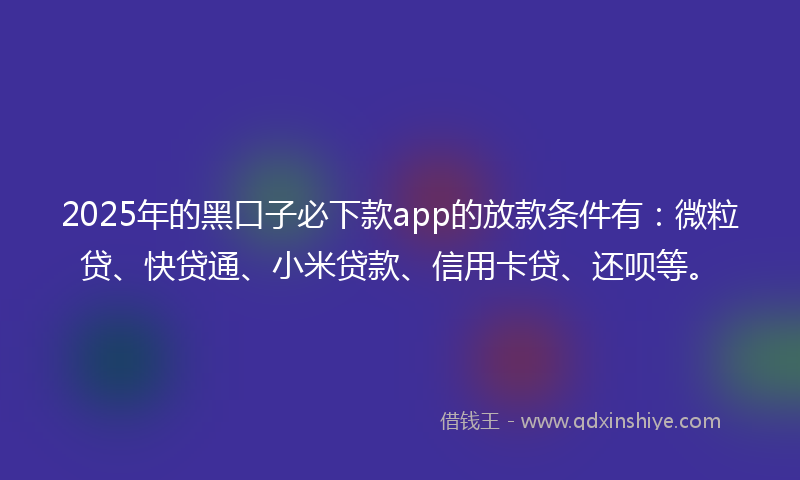 2025年的黑口子必下款app的放款条件有：微粒贷、快贷通、小米贷款、信用卡贷、还呗等。