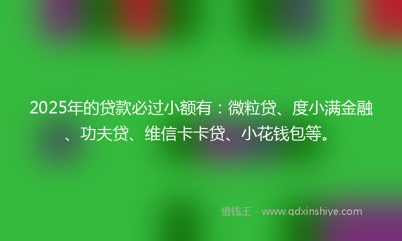 2025年的贷款必过小额有：微粒贷、度小满金融、功夫贷、维信卡卡贷、小花钱包等。