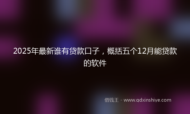 2025年最新谁有贷款口子，概括五个12月能贷款的软件