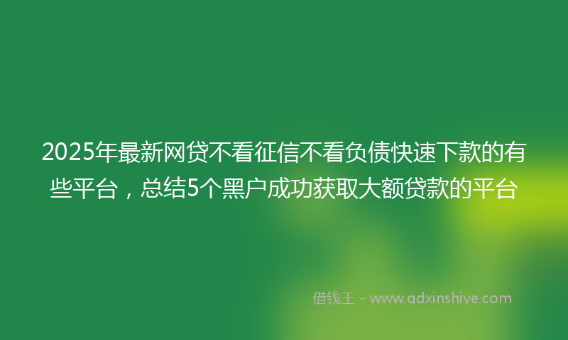 2025年最新网贷不看征信不看负债快速下款的有些平台，总结5个黑户成功获取大额贷款的平台