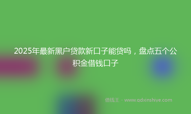 2025年最新黑户贷款新口子能贷吗，盘点五个公积金借钱口子